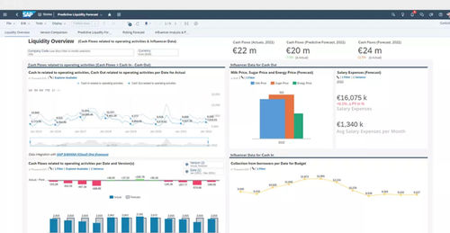Software de gestión financiera - S/4HANA Cloud for cash management - SAP - de supervisión / de mando / para informes