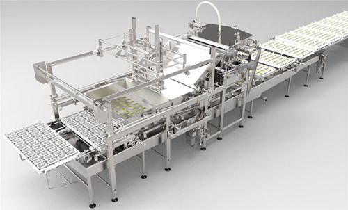 Porcionadora de queso de pasta dura - AFE - Alpma Alpenland Maschinenbau - de pasta blanda / mecánica / semiautomática