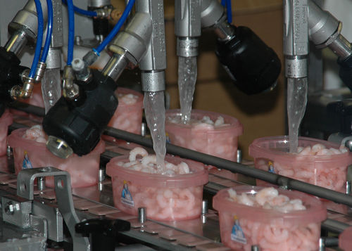 Inyector de salmuera para queso - Cabinplant A/S - para langostinos
