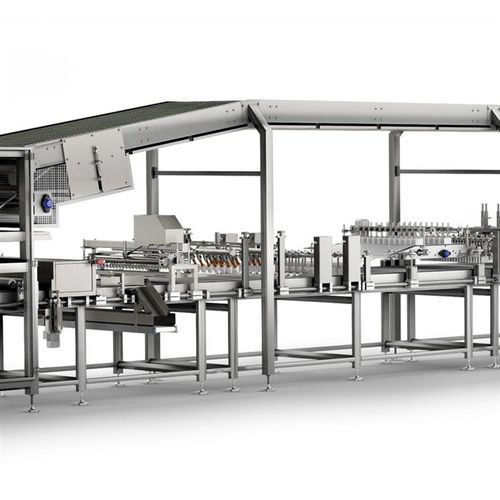 Línea de elaboración de pasteles automatizada - Gorreri S.r.l.