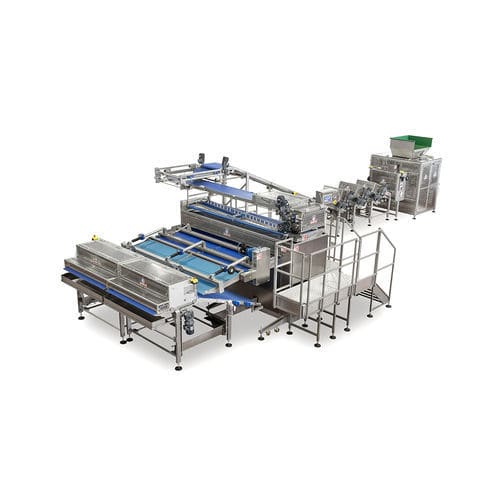 Máquina de preparación de aperitivos en forma de bola - O-MATIC 1000-2600 - Minipan S.r.l. Food Processing Machines - salados