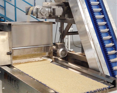 Tolva de productos alimentarios - MORCOS Egyptian Engineering Company - para tuercas / con transportador de cinta / para proceso de empolvado