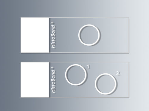 Portaobjetos de microscopio - 76 x 26 x 1 mm | HistoBond®+ - Paul Marienfeld GmbH & Co. KG