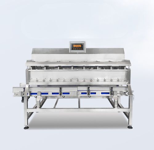 Pesadora de alta velocidad - TY-ZHZ072M160-01-11 - Zhongshan TO-U Packaging Machinery Co.,Ltd - muticabezal / para carne / para mariscos