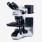 Microscopio Recto Bx M Evident Olympus Scientific Solutions