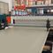 línea de extrusión de placasGPM Machinery (Shanghai)