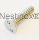 tornillo de cabeza plana / Spanner