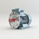 motor asíncrono / AC / 3 fases / 400V