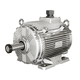 motor asíncrono / trifásico / con carcasa de fundición / IP55