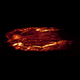 microscopio óptico / biomédico / médico / recto