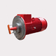 motor asíncrono / 380V / 660 V / para zona peligrosa