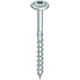 tornillo de fijación / torx / de acero zincado / zincado
