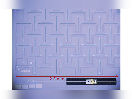 El arsenal de antena es una secundario-antena ortogonal de la ranura 12 X12 y red el sumar. El arsenal se diseña para beamforming dentro de la unidad del polarímetro. (Cortesía del lanzamiento de l...