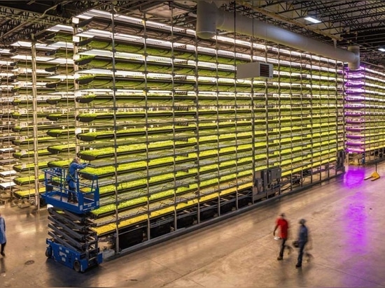 AeroFarms afirma que es el líder comercial de la agricultura vertical de interior totalmente controlada, con una productividad por pie cuadrado 390 veces superior a la de la agricultura de campo tr...