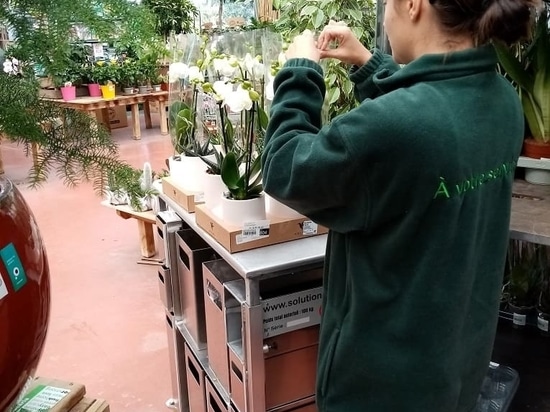 Una visita inspiradora a los jardines de Grand Lieu