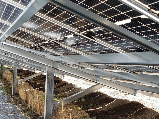 SANERGRID, Solidification Products International Inc. y DISHELEC 65 en Intersolar Múnich 2025.