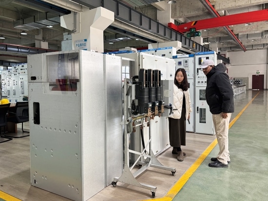 Un cliente zambiano visita por tercera vez Tianan Electric