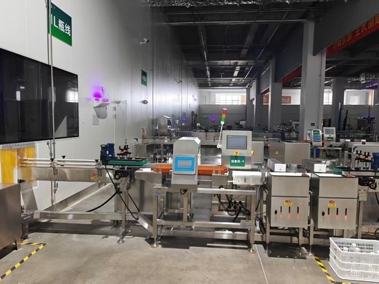 Mejora de la seguridad alimentaria y el control de peso con la báscula de control General Measure CW-3K con detector de metales