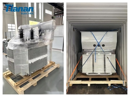 La ingeniería de precisión impulsa la cooperación energética entre China y África – Ningbo Tianan envía un nuevo lote de transformadores de distribución personalizados a Zambia