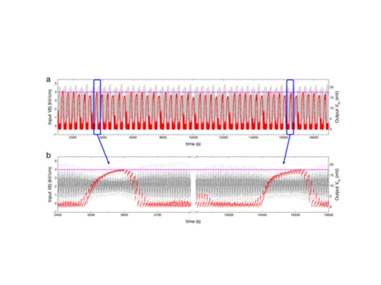 Figura 3. Datos experimentales.