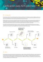 Clarificación de ADN Plasmídico - 2