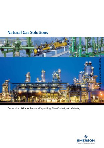 Natural Gas Solutions Brochure (Middle East and Africa Only)