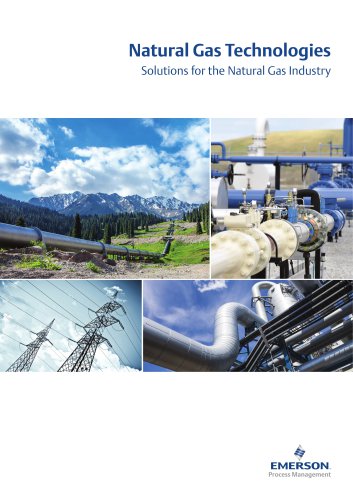 Solutions for the Natural Gas Industry