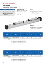 Unidades lineales RK DuoLine-14