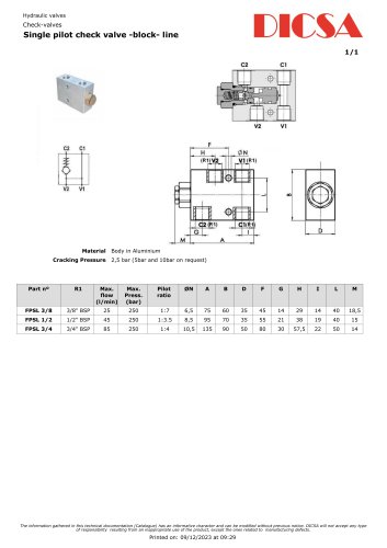 Single pilot check valve -block- line