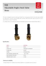 55B ADJUSTABLE ANGLE CHECK VALVE