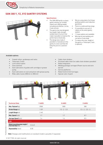 SGN 300 Y, YZ, XYZ GANTRY SYSTEMS