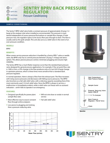 Back Pressure Regulator/Relief Valve