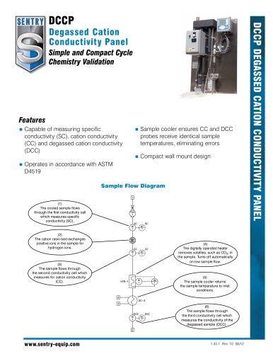 Degassed Cation Conductivity Panel (DCCP)