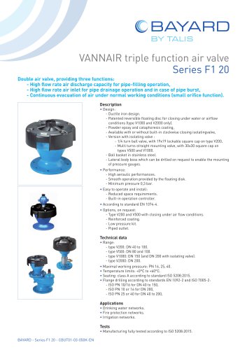 VANNAIR triple function air valve