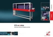 CCS modulo