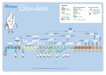 BioClean Glovulator Glove Selection Aid