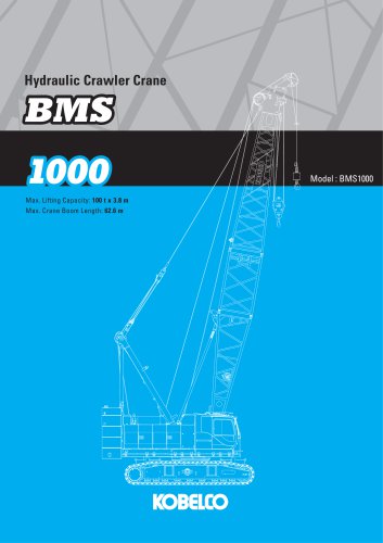 BMS1000