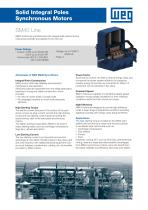 Solid Integral Poles Synchronous Motors