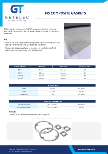 MS composite gasket