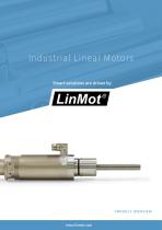 Industrial Linear Motors