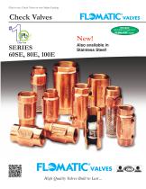 Check Valves SerieS 60Se, 80e, 100e