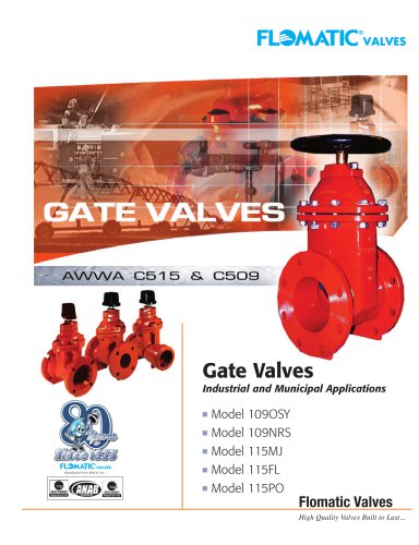 Gate Valves