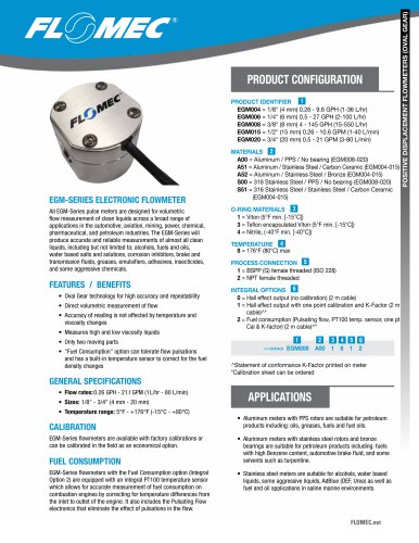 EGM SERIES ELECTRONIC FLOWMETER