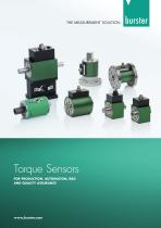 Torque Sensors