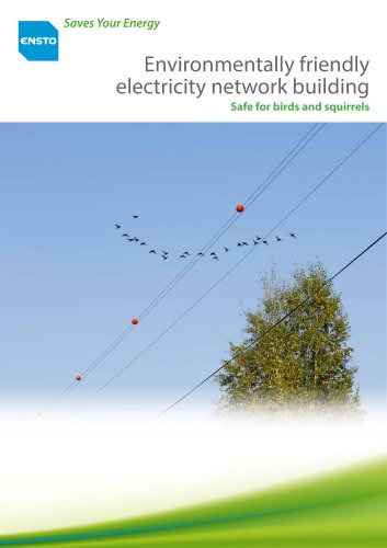 Environmentally Friendly Electricity Network Building