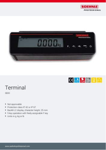 3800 Terminal