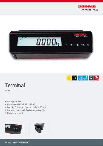 3810 Terminal