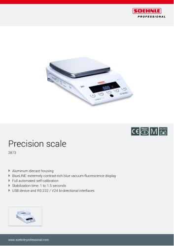 Precision scale 2873