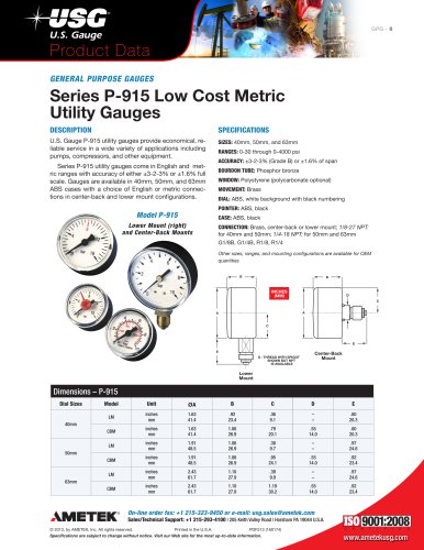 Series P-915 Low Cost Metric Utility Gauges