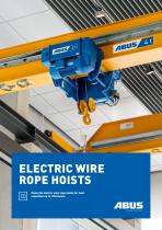 Electric wire rope hoists
